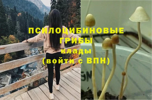 мефедрон Зеленодольск