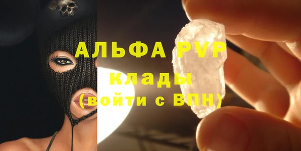 шишки Иннополис
