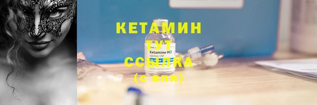 шишки Зерноград