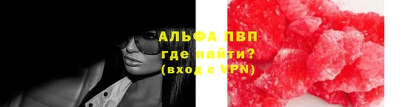 шишки Иннополис