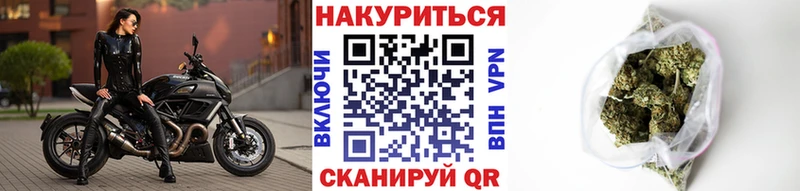 Конопля Bruce Banner  Купить  Высоцк 